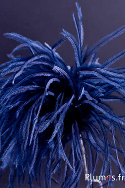 Plume struisvogel met ring - hoogte 18-20 cm -  donker blauw